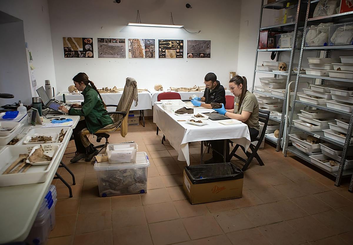 Imagen principal - Trabajo en el laboratorio del Molina de Víznar. 