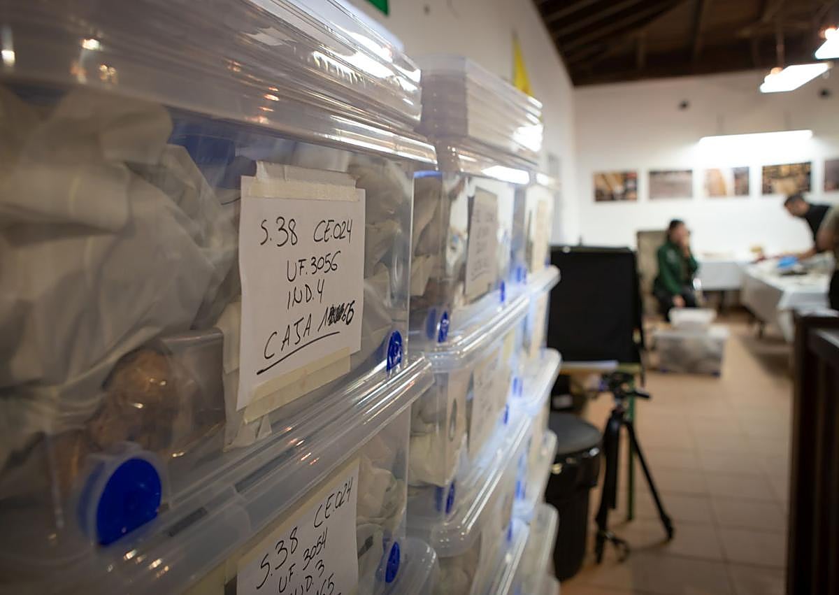 Imagen secundaria 1 - Trabajo en el laboratorio del Molina de Víznar. 