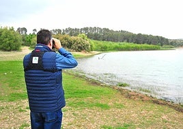 La Junta censa 1.734 aves acuáticas invernantes en 29 zonas húmedas de la provincia de Granada