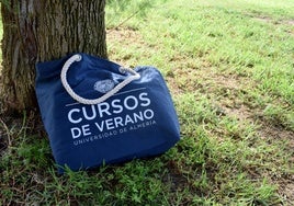 Los Cursos de Verano de la UAL se celebrarán a lo largo del mes de julio en siete sedes.