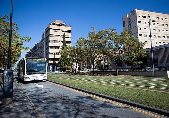 El monumento está completamente tapado.