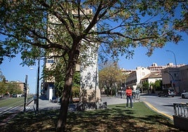 Lázaro junto a uno de los tres árboles que ocultan su obra.