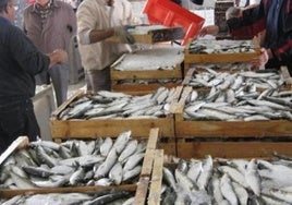 La pesca es una actividad ligada a la historia de Garrucha.
