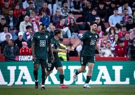 El Almería, en su partido en Los Cármenes.