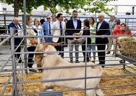 Ramón Fernández-Pacheco inaugura la Feria Ganadera de La Carolina (Jaén)
