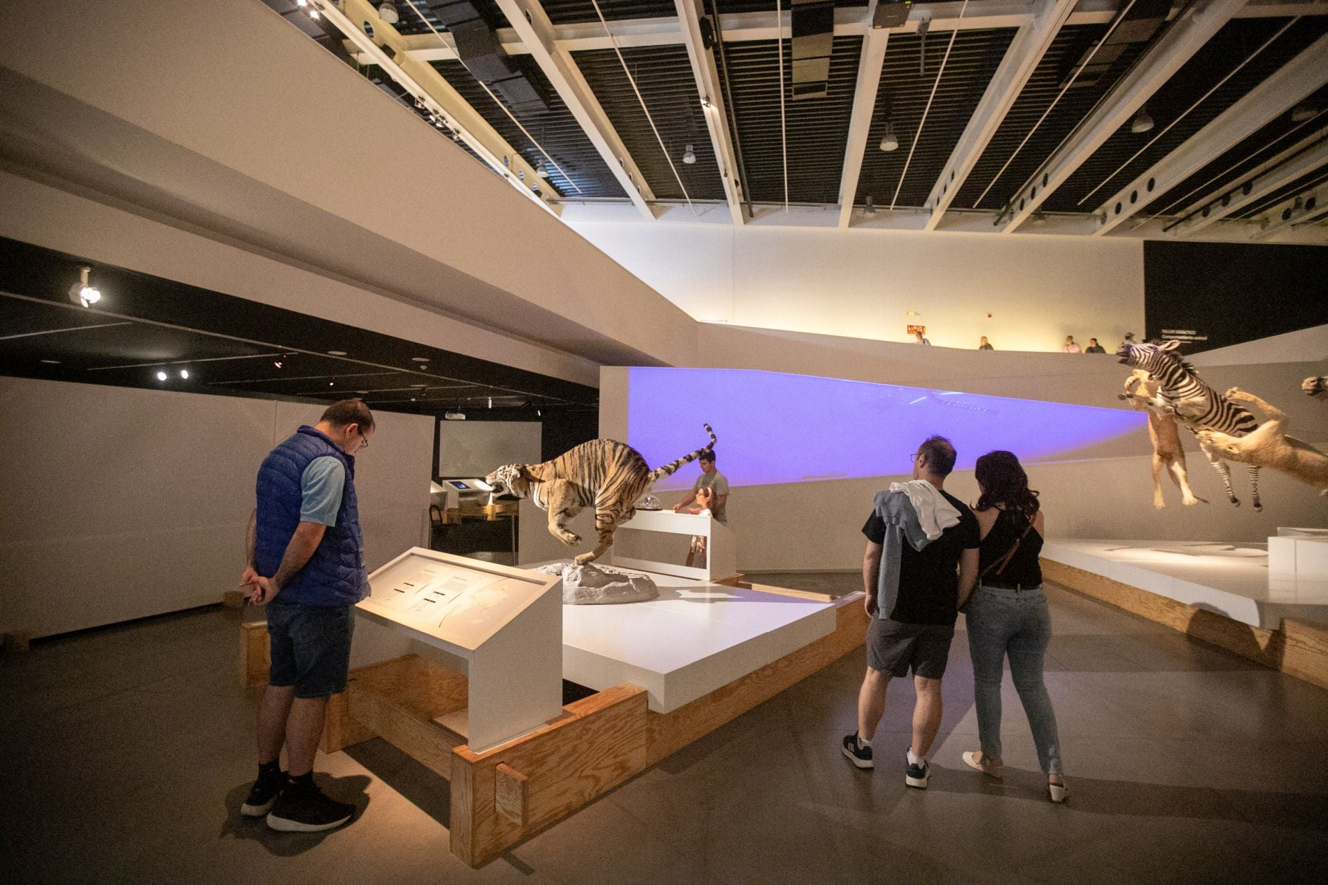 Las mejores imágenes de la fiesta del Parque de las Ciencias en su 30 aniversario