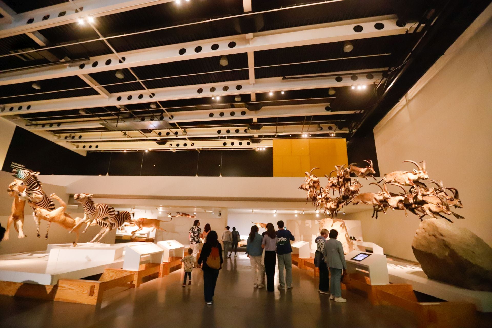 Las mejores imágenes de la fiesta del Parque de las Ciencias en su 30 aniversario