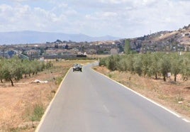 Carretera A-336 entre Íllora y Alomartes en la que ha tenido lugar el suceso mortal.