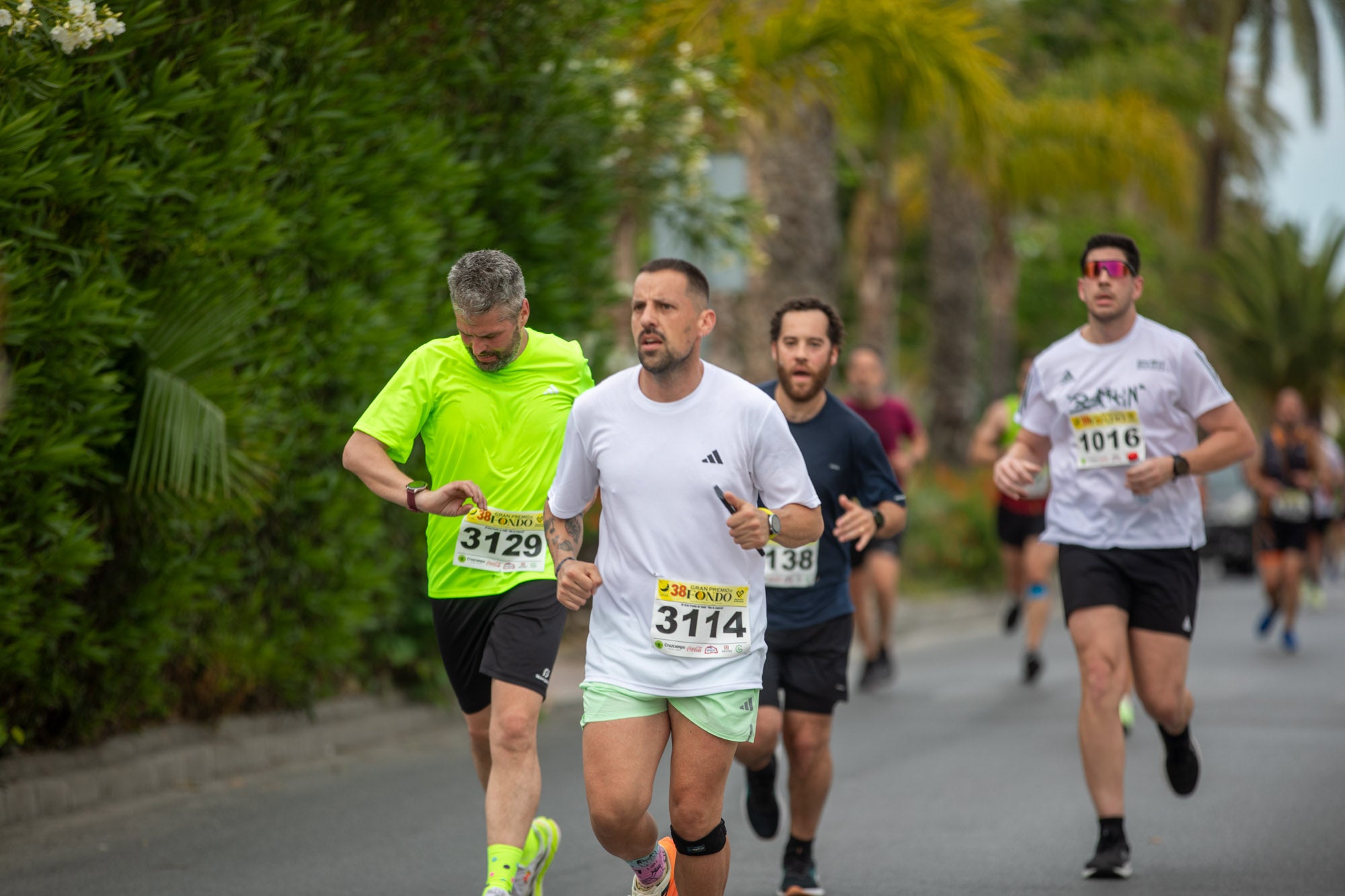 Encuéntrate en el Gran Premio de Fondo Villa de Salobreña