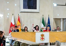 Pleno del Ayuntamiento de Almería de este lunes.