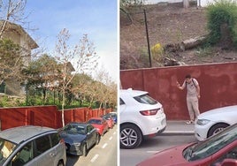 Aluvión de ataques de pájaros a personas en este pueblo andaluz.