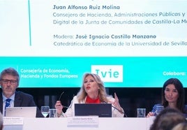 Carolina España, en la mesa redonda