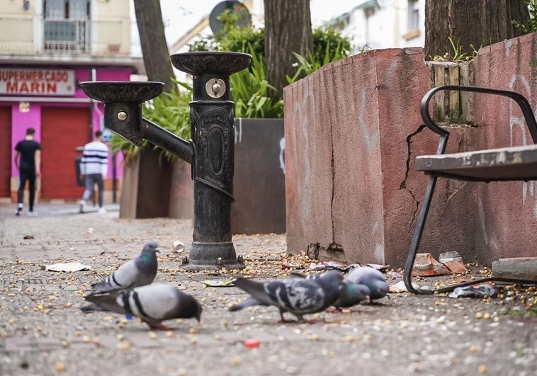 Cuatro años de prisión por intentar matar a tiros a un hombre en pleno barrio de la Chana