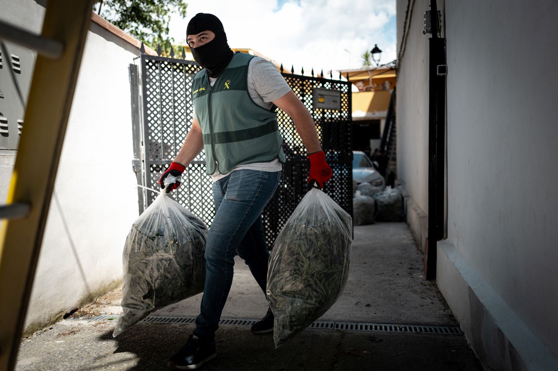 Las imágenes de la operación contra el narcotráfico en Ogíjares