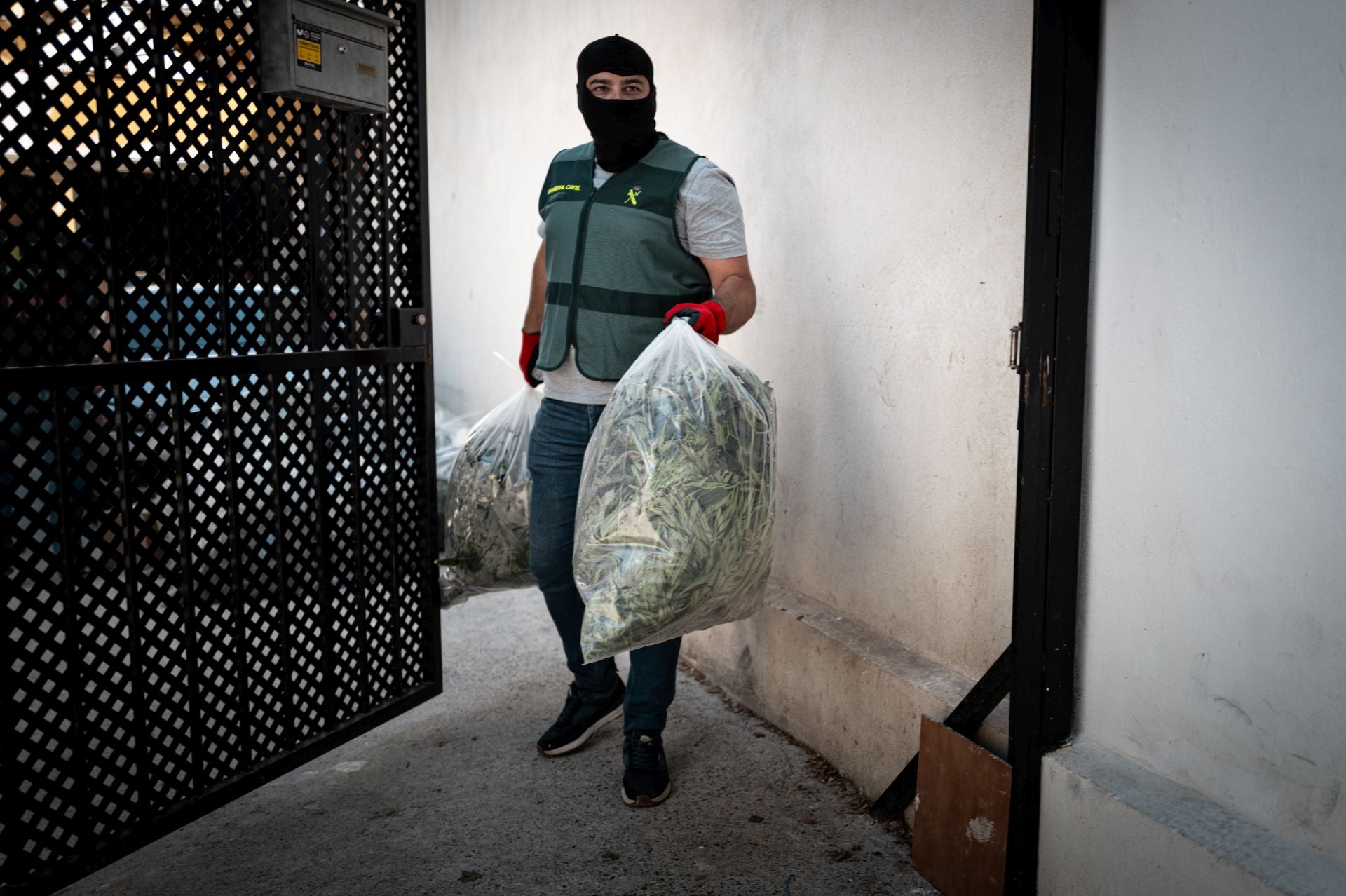Las imágenes de la operación contra el narcotráfico en Ogíjares