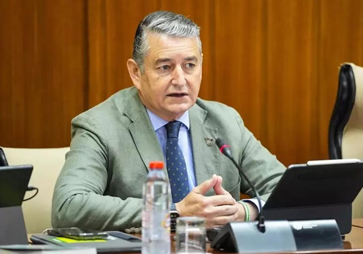 Sanz teme que julio y agosto sean «muy complicados» en cuanto a incendios en andalucía | ideal