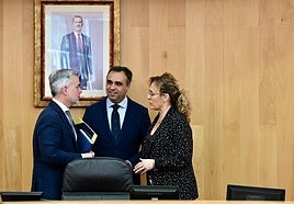 Aprobación en pleno extraordinario de la amortización de la deuda de Visogsa