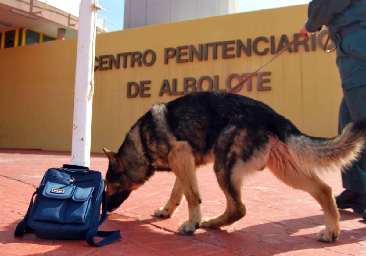 Un interno intenta 'colar' en la cárcel de albolote droga, móvil y cargador ocultos en el recto | ideal