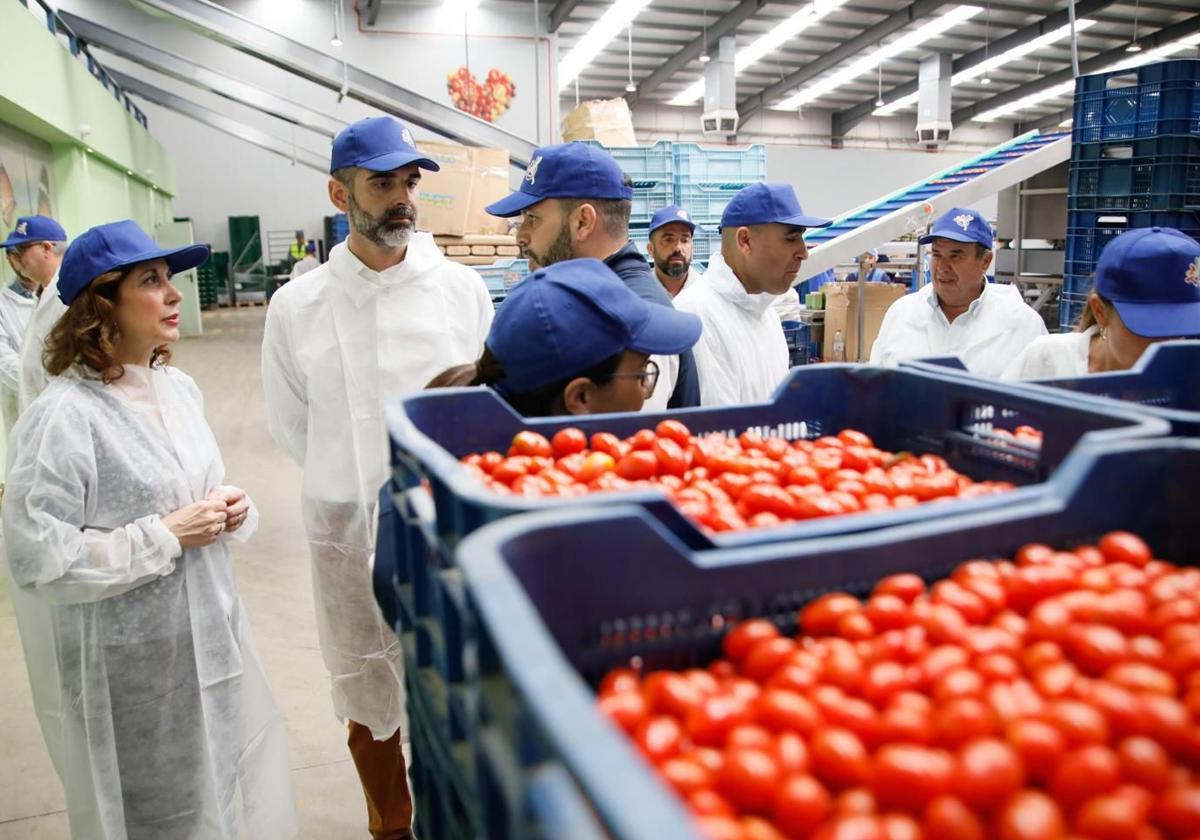 Pacheco valora el impulso de la Junta al cultivo natural con una nueva Ley de Producción Ecológica ya en trámite