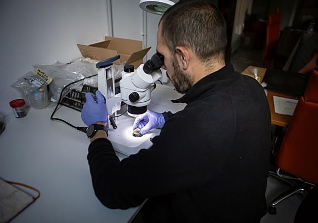 Analizando en el microscopio una moneda de una peseta hallada en las excavaciones de la Cartuja.