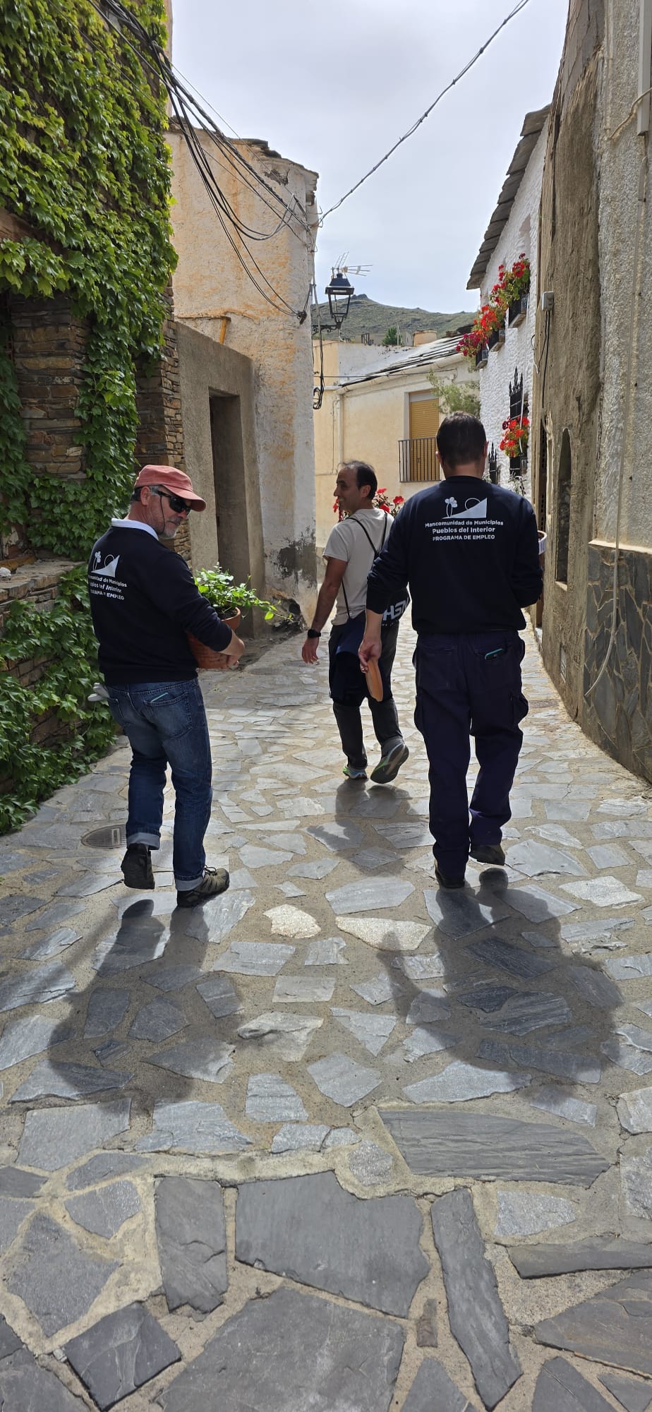 La ruta literaria de flores y poemas de Velefique, en imágenes