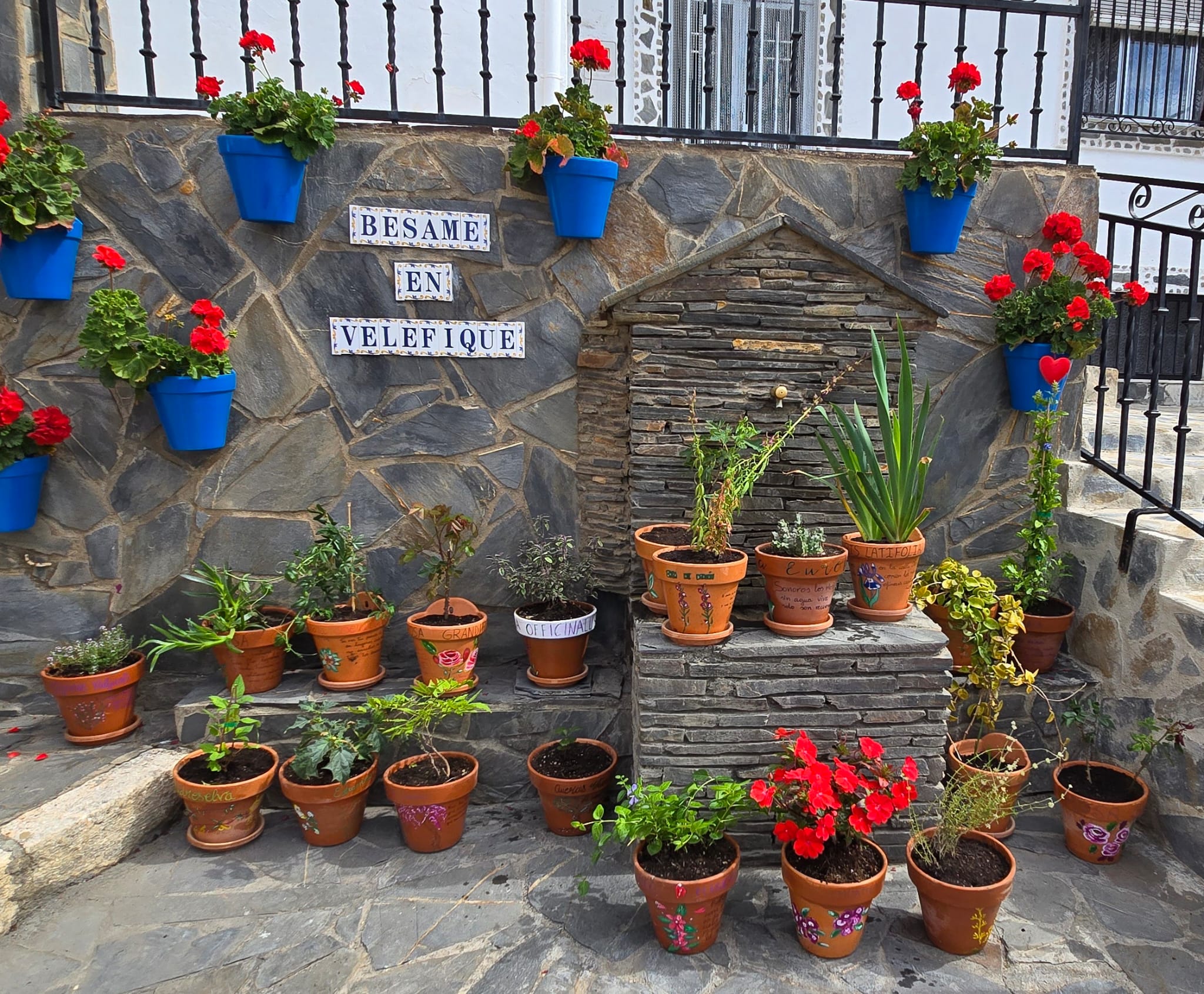 La ruta literaria de flores y poemas de Velefique, en imágenes