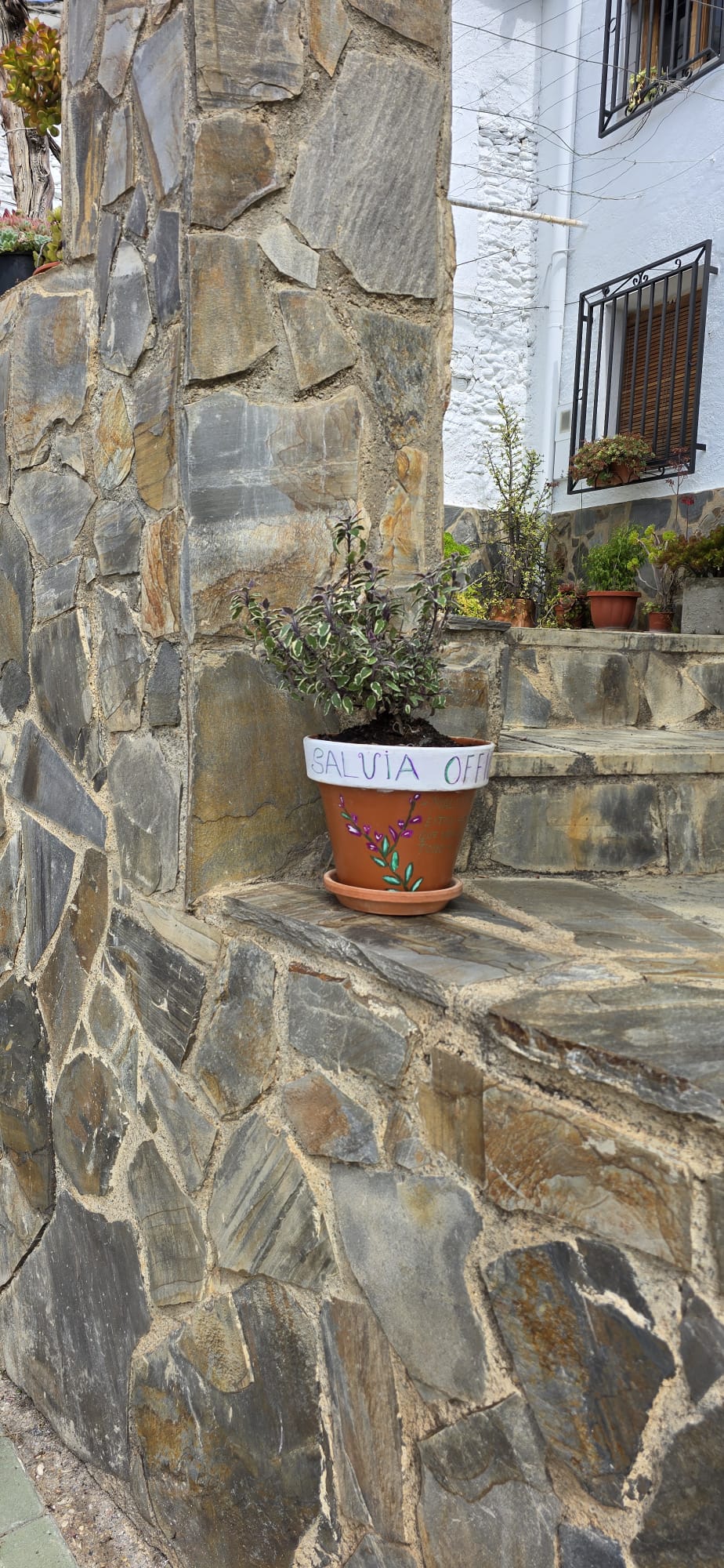 La ruta literaria de flores y poemas de Velefique, en imágenes