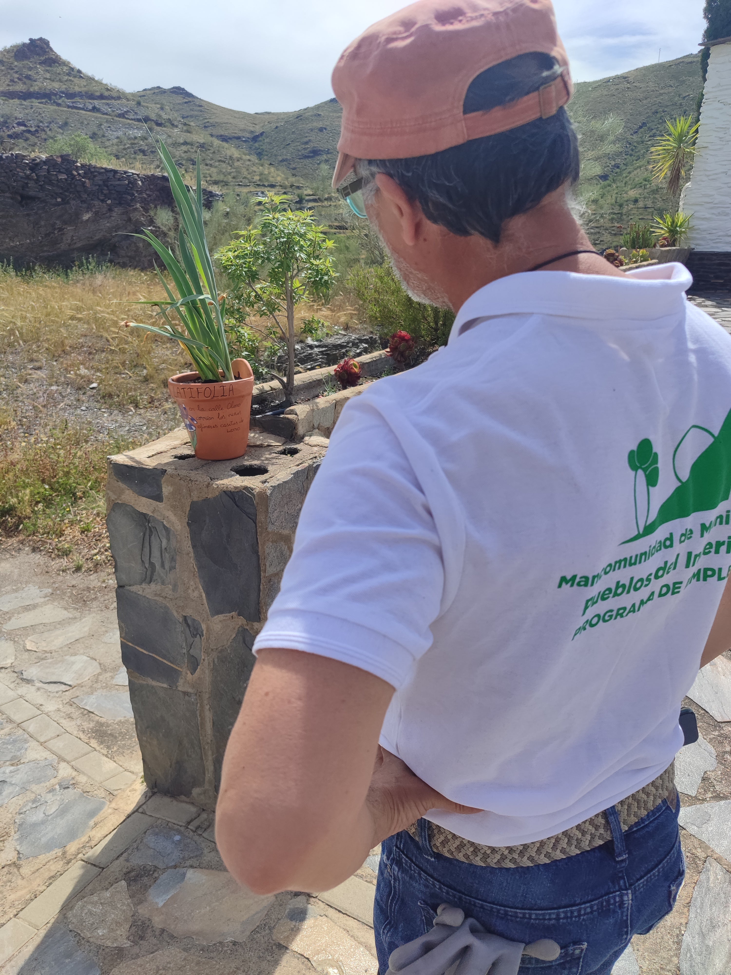 La ruta literaria de flores y poemas de Velefique, en imágenes