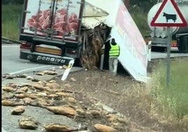 Un accidente deja decenas de jamones tirados en una carretera de Andalucía