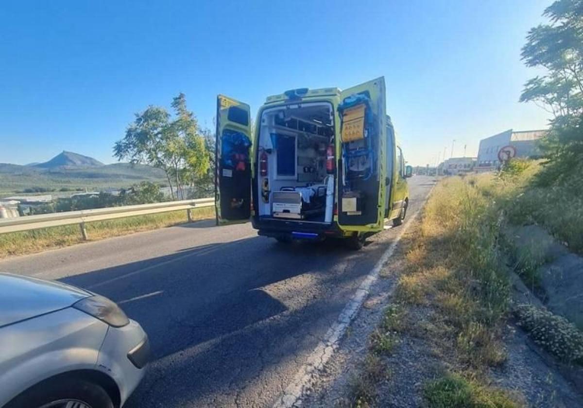 Hallan el cuerpo sin vida de un hombre de 39 años en un campo de peal de becerro | ideal