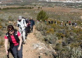 La 10ª Ruta en la Naturaleza caminará por el sendero del Pico Tenerife, en la Sierra Almagrera