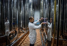 Bodegas de aceite de la cooperativa Conde de Benalúa.