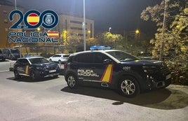 Roban dos grandes estufas de un restaurante del centro de Granada y las 'pasean' en el maletero.