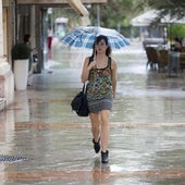 Tormentas el viernes: AEMET pone en aviso amarillo a Granada