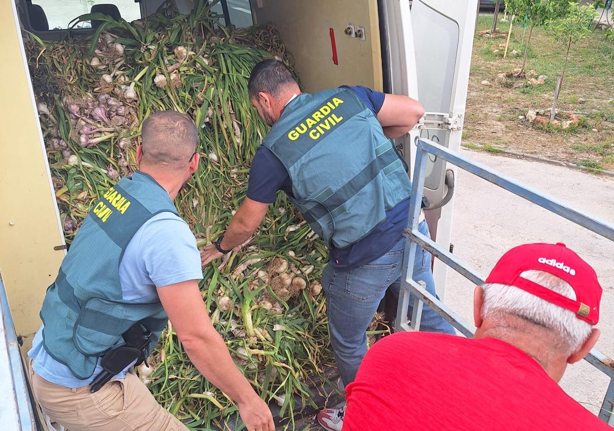Detenido tras robar 2. 000 kilos de ajos huétor tájar gracias a un guarda rural | ideal