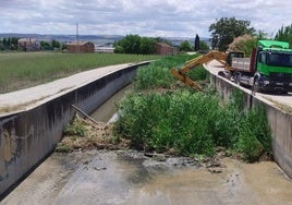 Desbroce del arroyo Salado a su paso por Chauchina