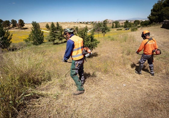 Trabajadores este miércoles desbrozando el campo de golf Santa Clara de Otura.