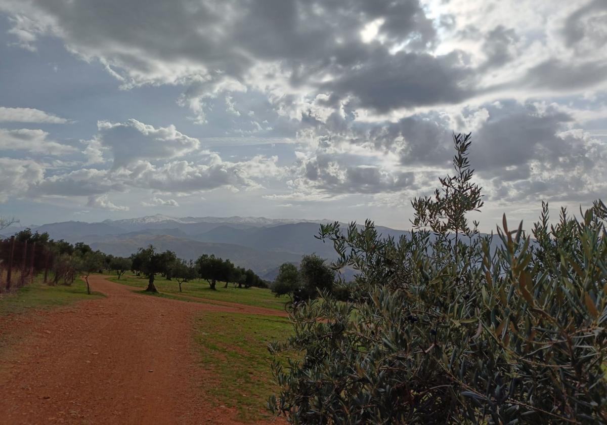 La alhambra inicia las obras de mejora del camino de acceso al llano de la perdiz | ideal