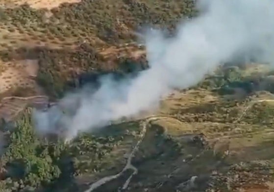 Incendio forestal en Cádiar.