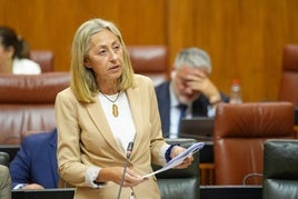 La consejera de Salud y Consumo de la Junta de Andalucía, Rocío Hernández,.