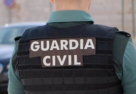 Un conocido ladrón de Guadix saquea multitud de coches durante la Feria del Vino