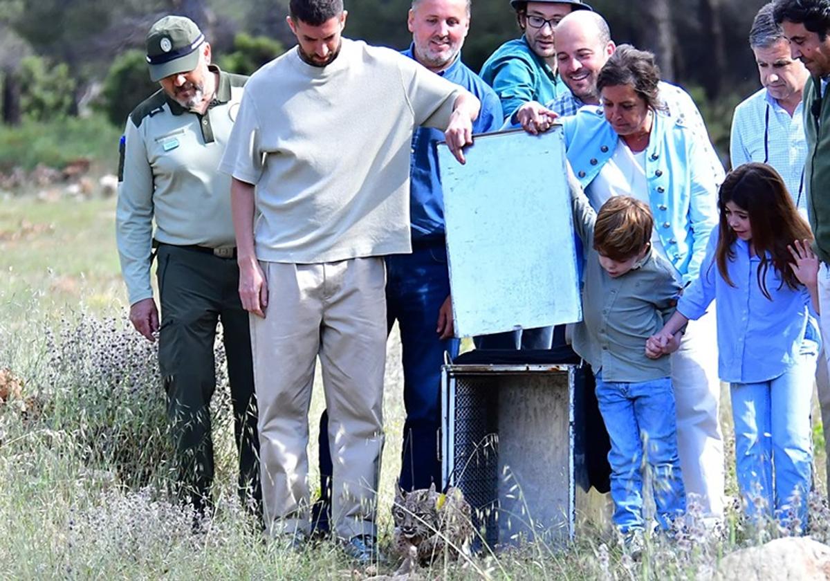 La junta libera dos nuevos linces ibéricos en granada | ideal