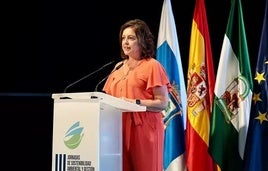 La consejera de Sostenibilidad y Medio Ambiente de la Junta de Andalucía, Catalina García.