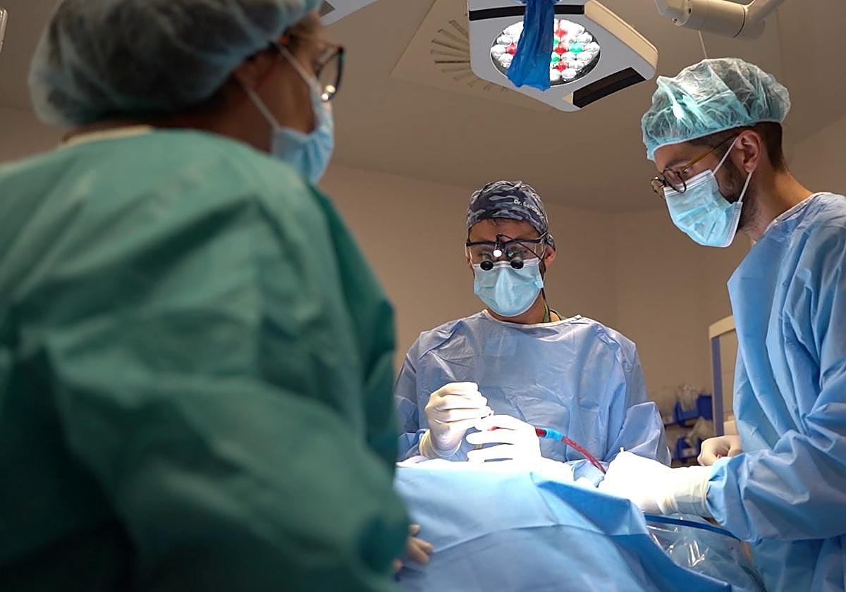 El Hospital Virgen de las Nieves incrementa su plantilla en un 15'07 % en los últimos siete años