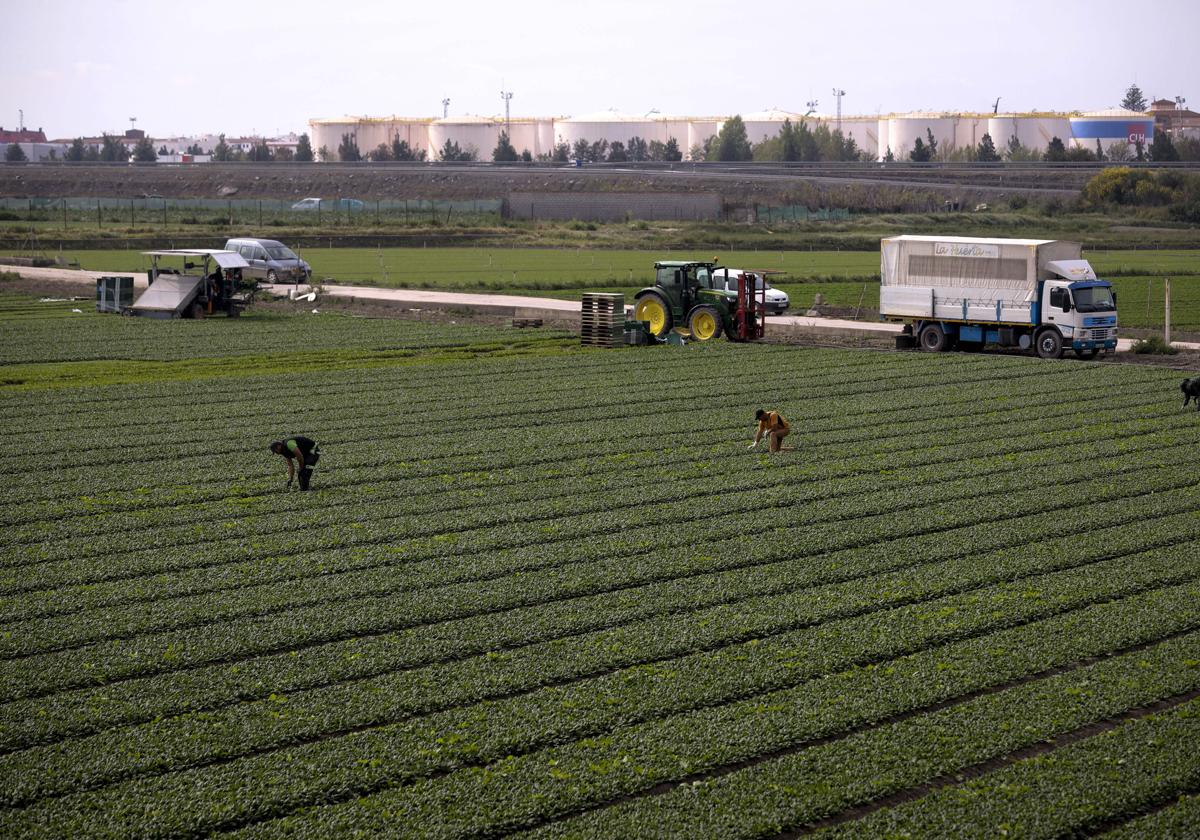 Más de 2. 500 regantes de motril y carchuna exigen 8 millones al gobierno por unas tuberías defectuosas | ideal