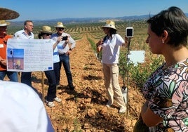 Sesión demostrativa del proyecto Demofarm en una finca de Arquillos.