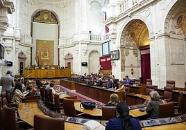 Un momento del pleno celebrado este jueves en el Parlamento.