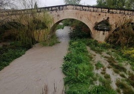 El Guadalbullón a su paso por el Puente Tablas.