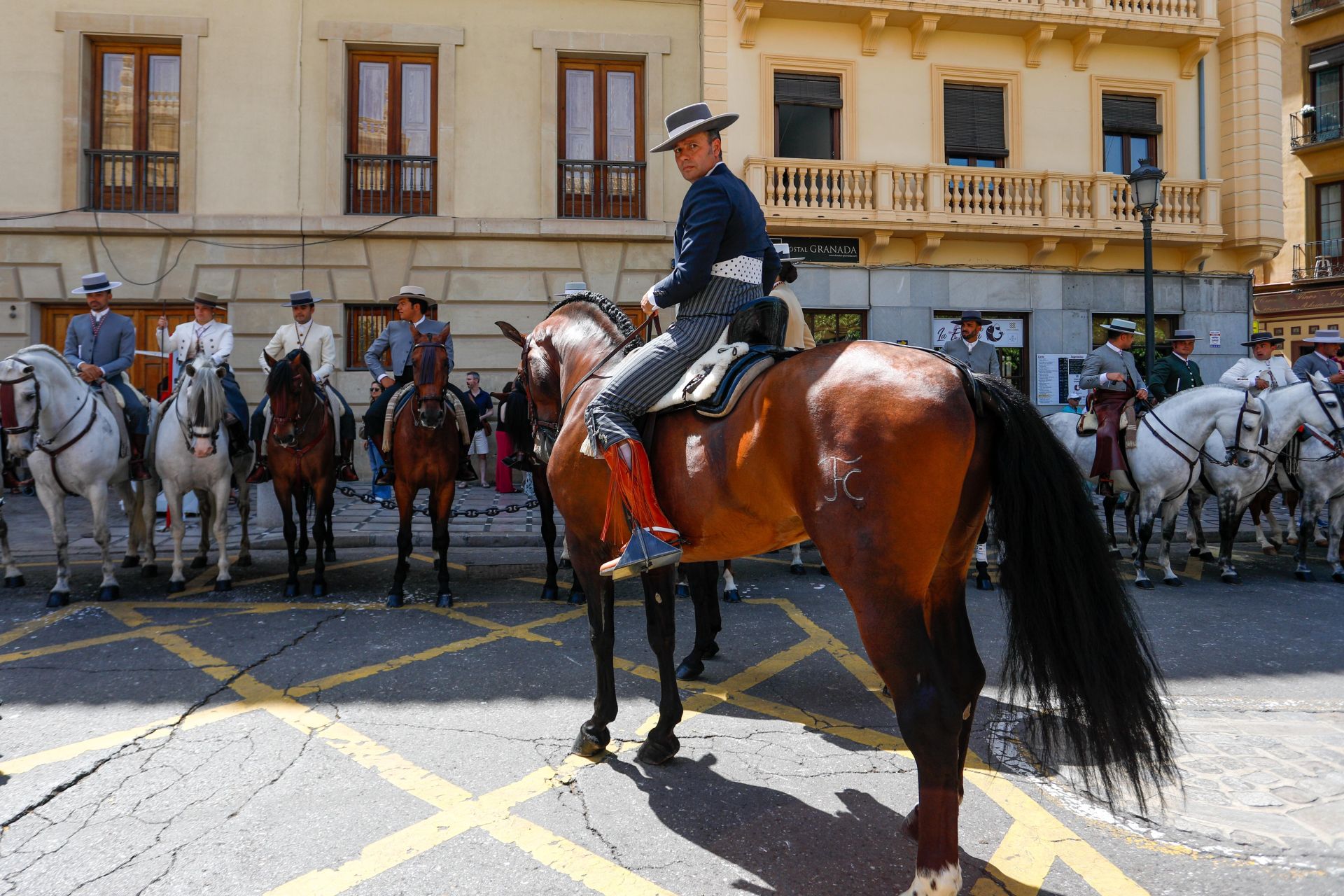 Granada pone en marcha 700 peregrinos y 55 carretas para El Rocío
