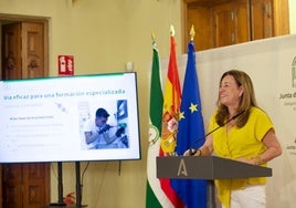 La consejera de Desarrollo Educativo, Carmen del Castillo, durante la rueda de prensa.